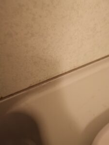 お風呂の黒カビ